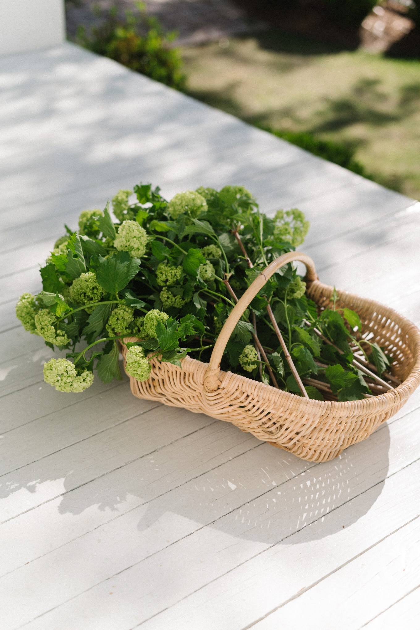 blue green white home goods pottery barn