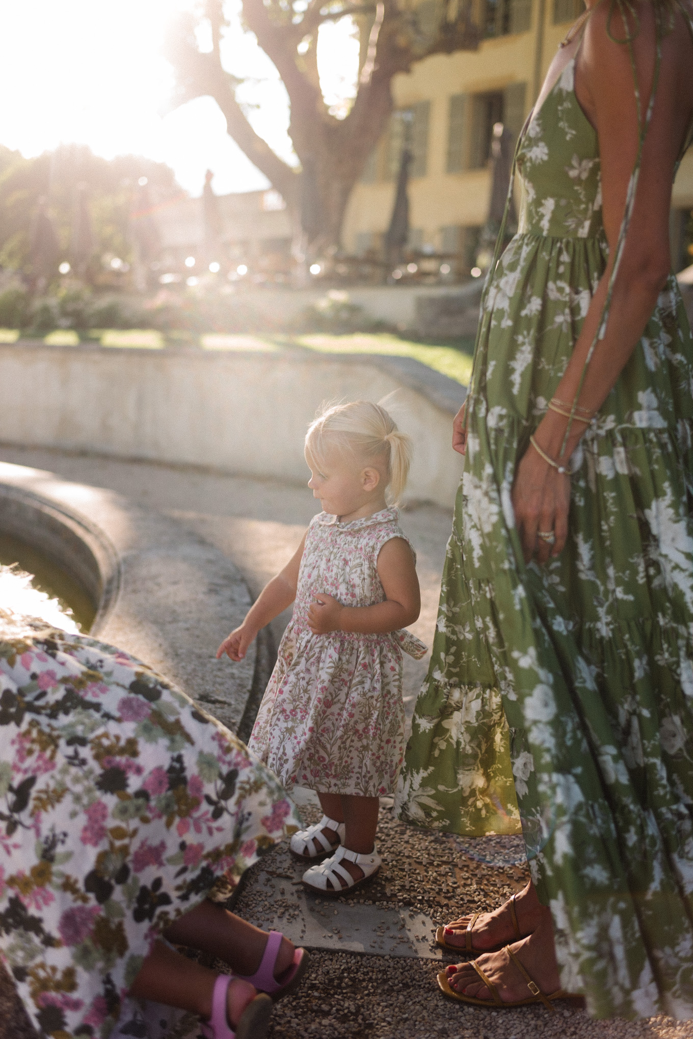 summer in provence