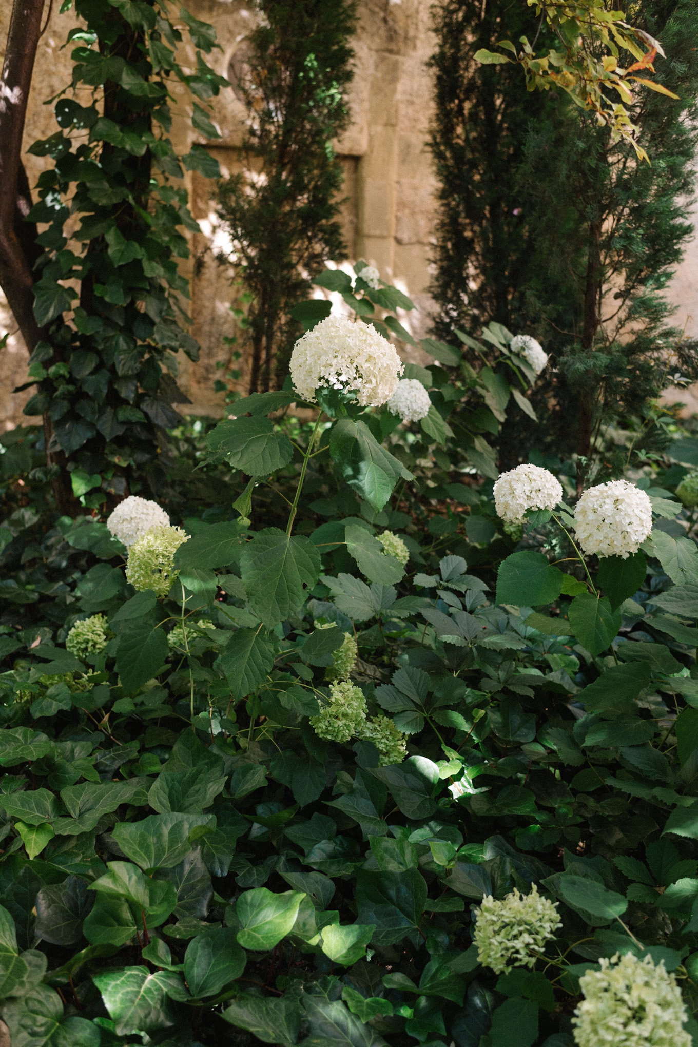 summer in provence