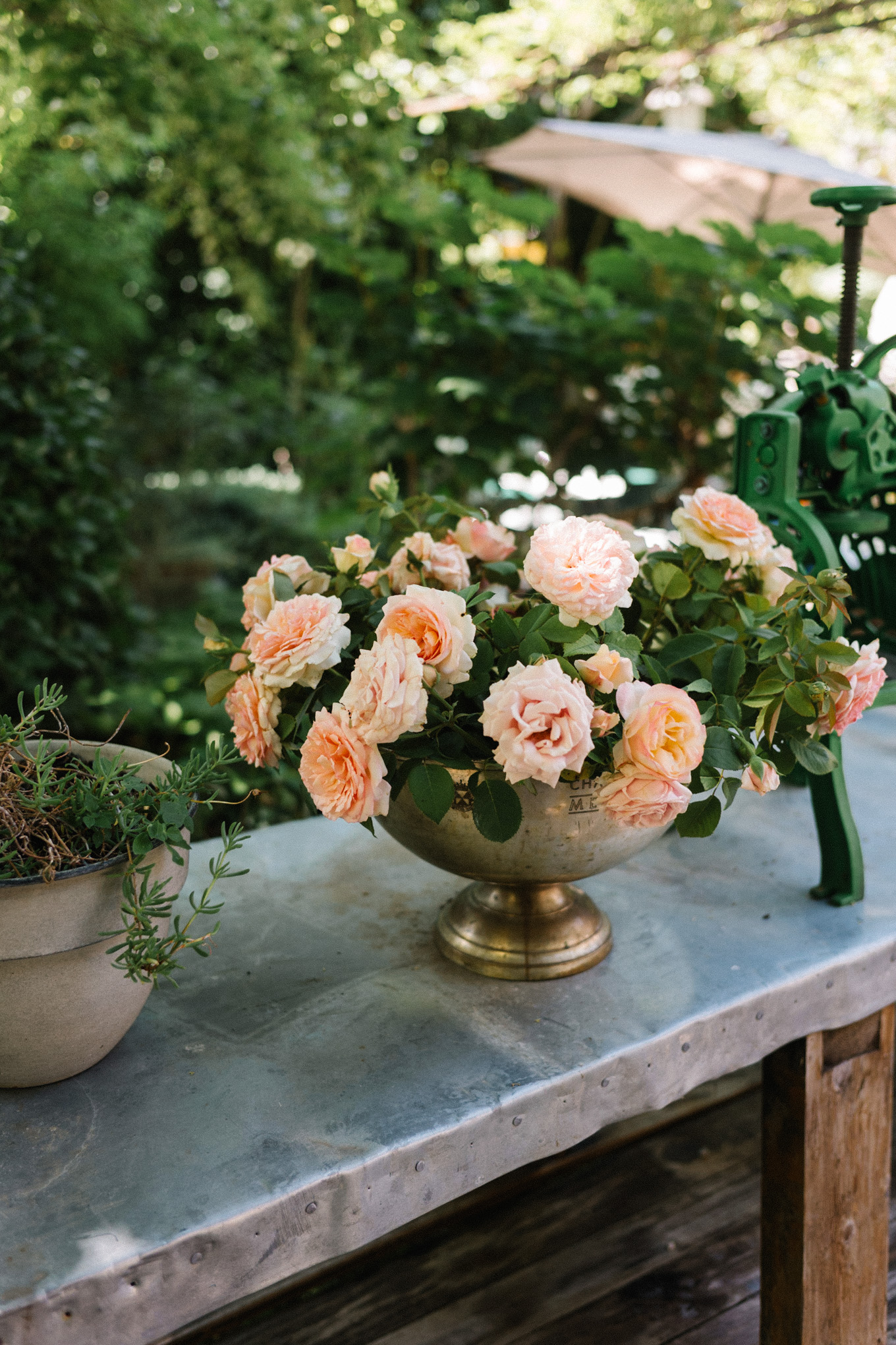 summer in provence