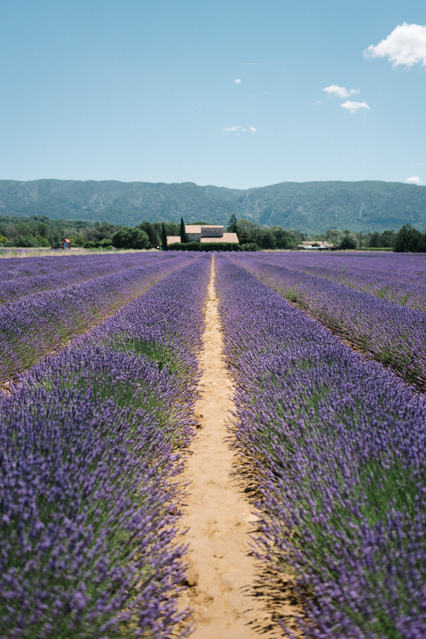 summer in provence