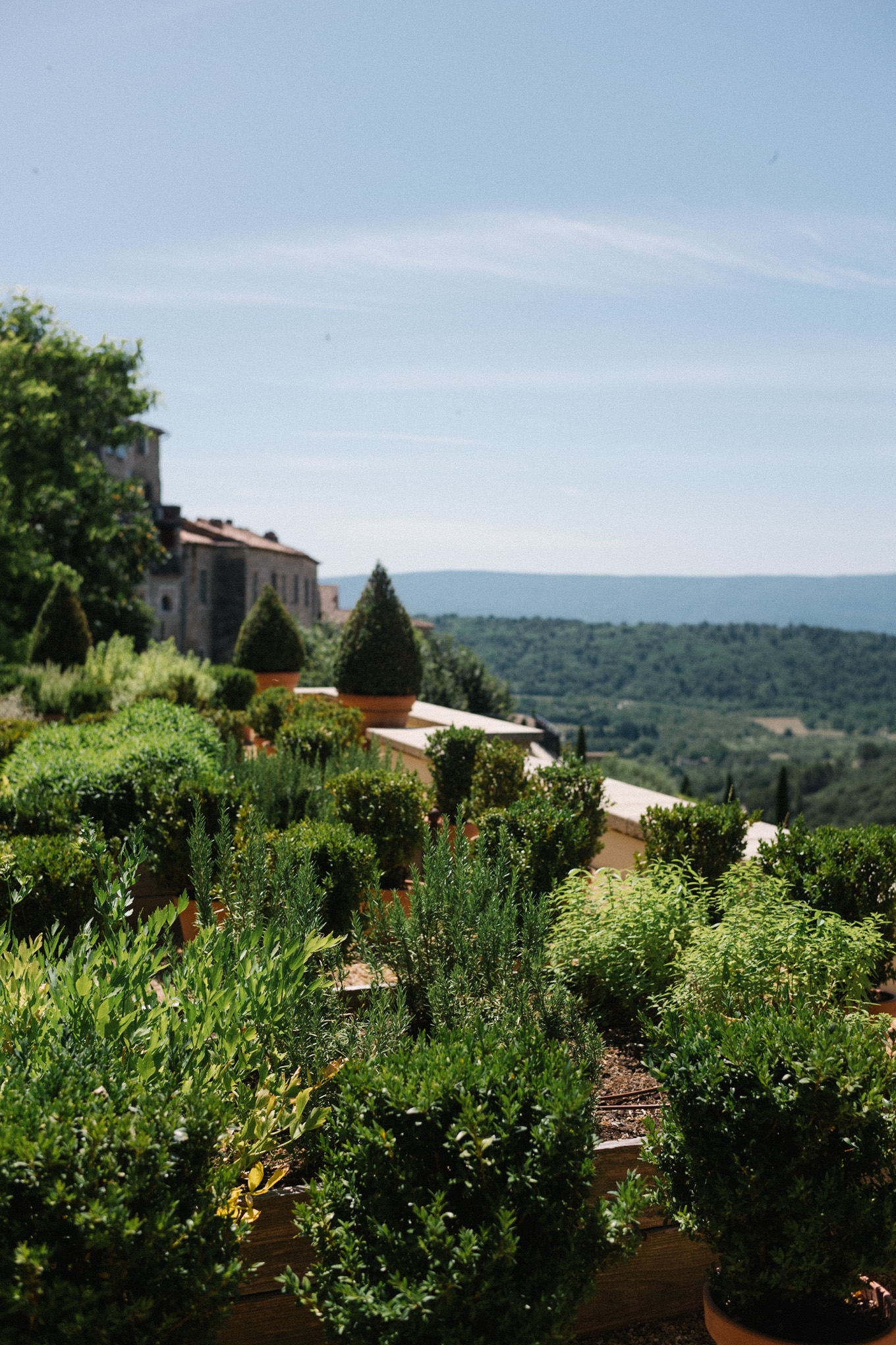 summer in provence