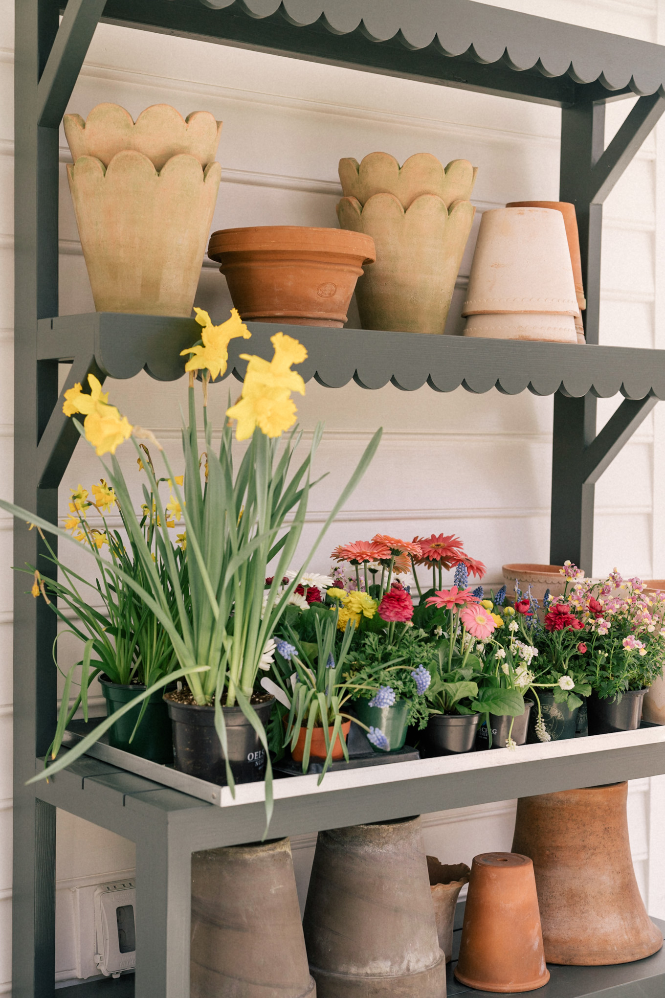 garden flower pots planters