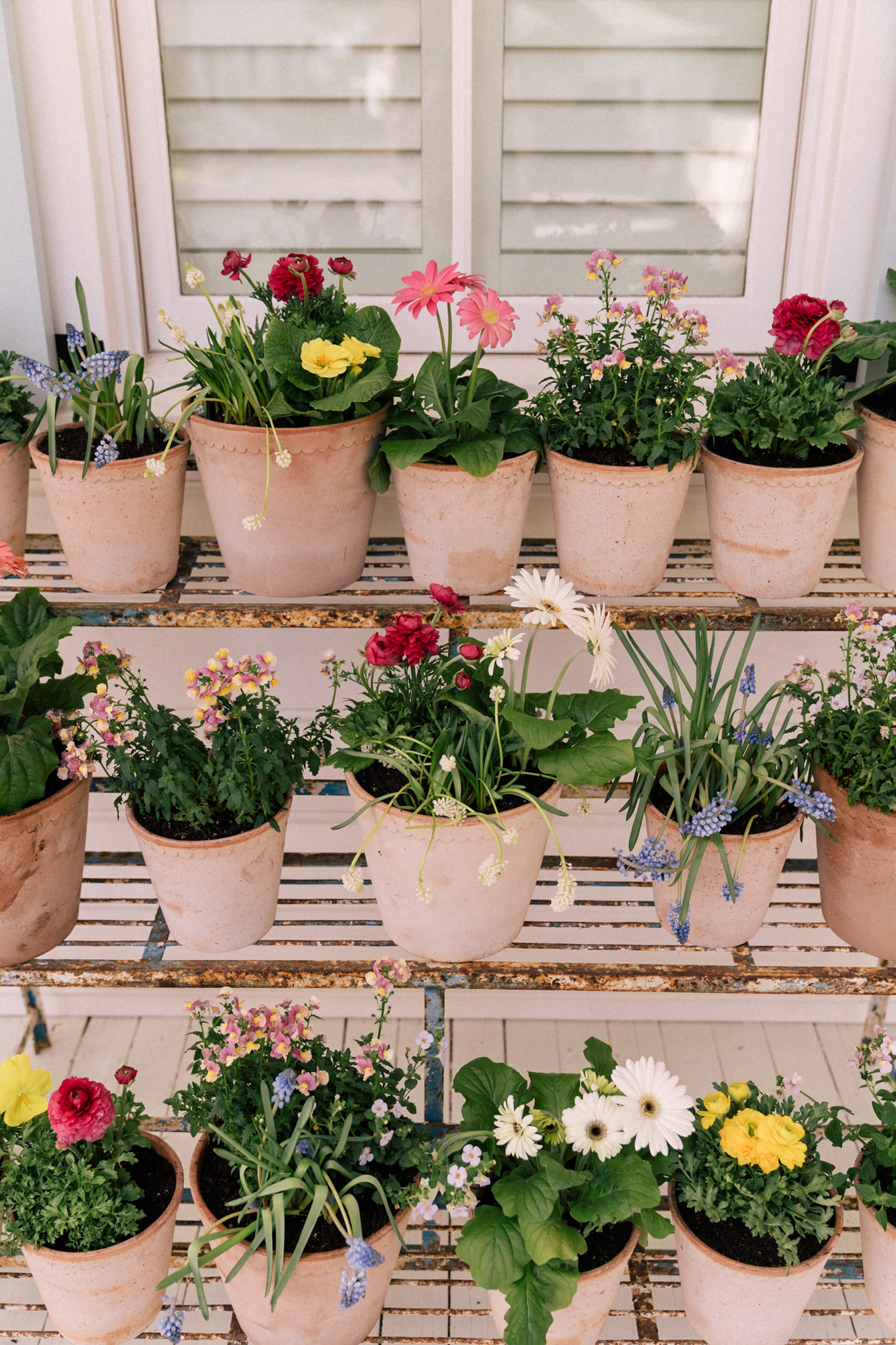 garden flower pots planters