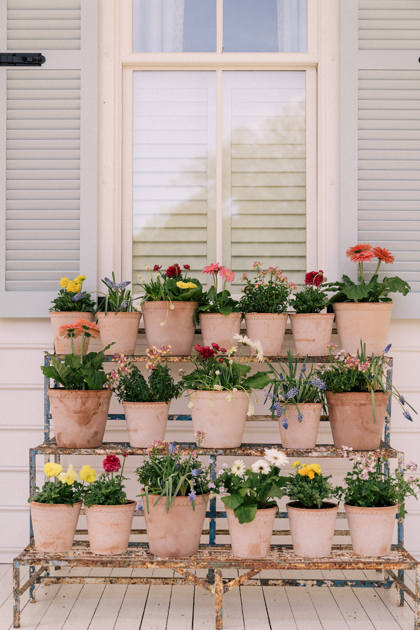 garden flower pots planters