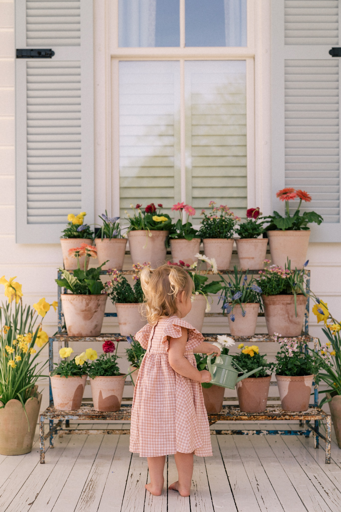 garden flower pots planters